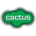 Image:Square Cactus TV.jpg