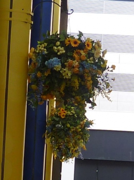 File:Liverpool 2023 hanging baskets.jpg