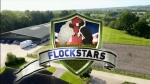Flockstars
